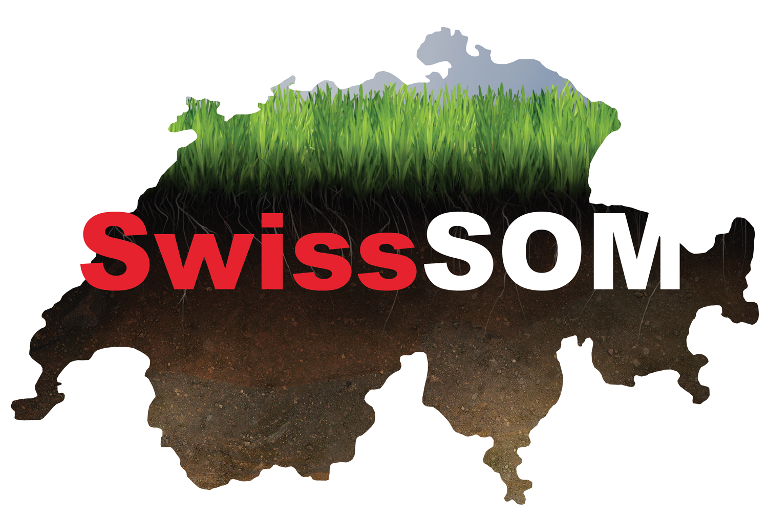 Enlarged view: SwissSOM logo